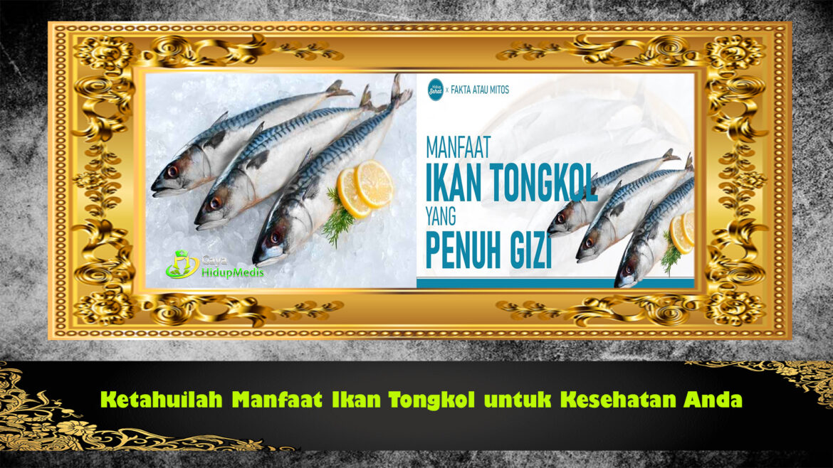 Ketahuilah Manfaat Ikan Tongkol untuk Kesehatan Anda